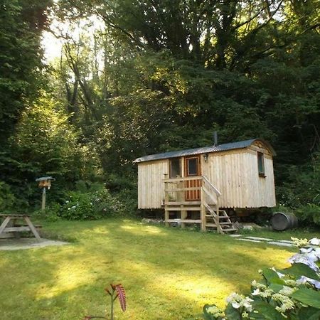 'Morris' The Shepherd'S Hut With Woodland Hot Tub Carmarthen Zewnętrze zdjęcie