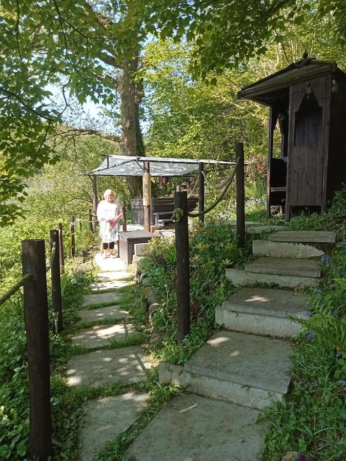 'Morris' The Shepherd'S Hut With Woodland Hot Tub Carmarthen Zewnętrze zdjęcie