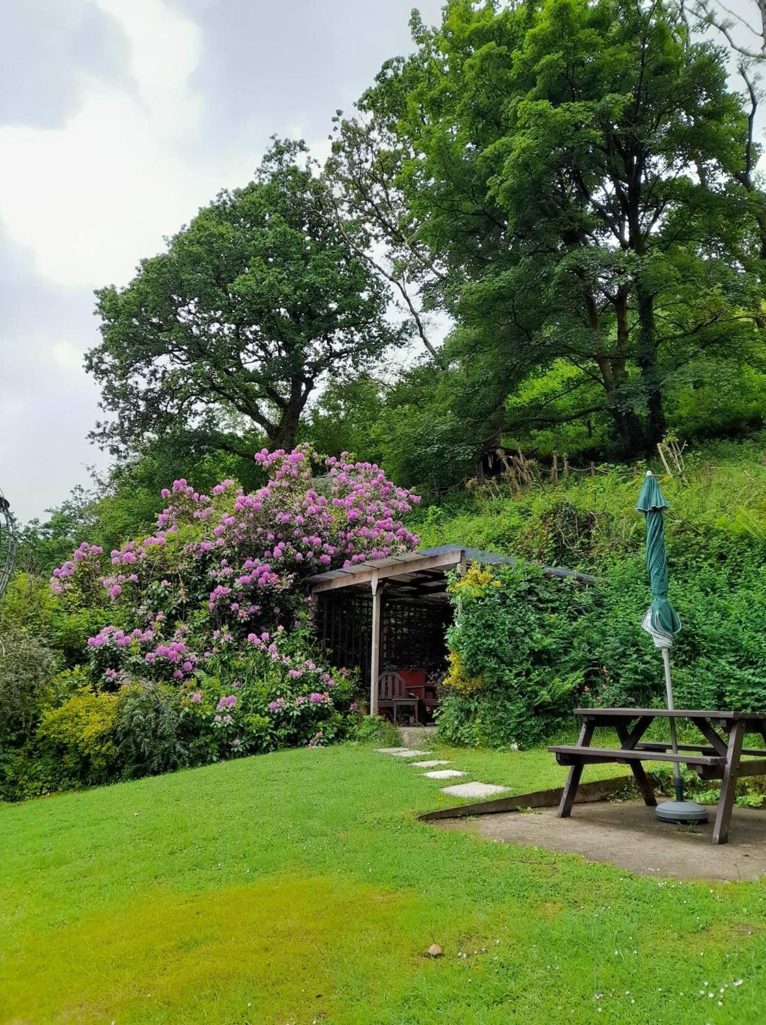 'Morris' The Shepherd'S Hut And Woodland Hot Tub Experience Carmarthen Zewnętrze zdjęcie