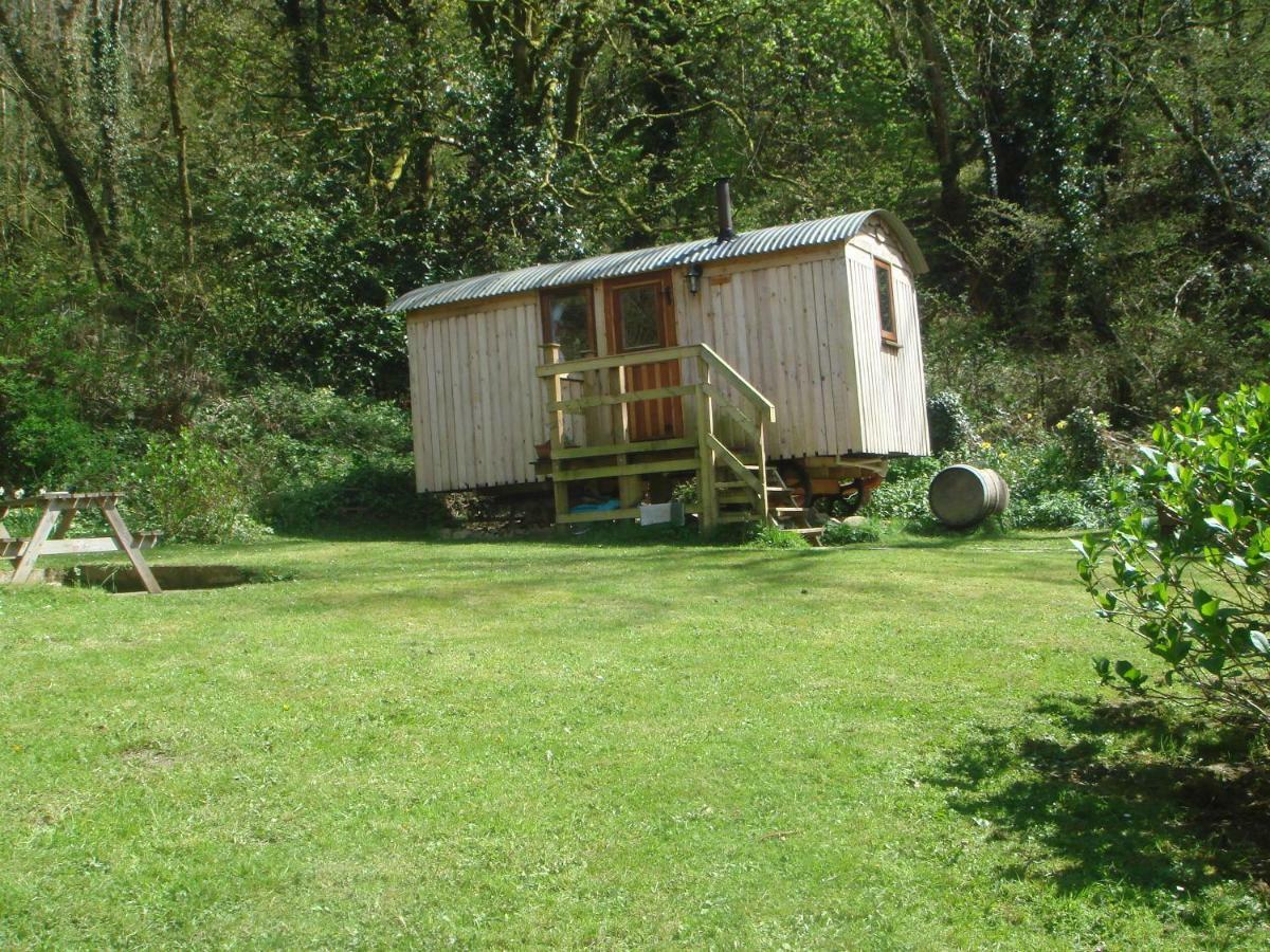 'Morris' The Shepherd'S Hut With Woodland Hot Tub Carmarthen Zewnętrze zdjęcie