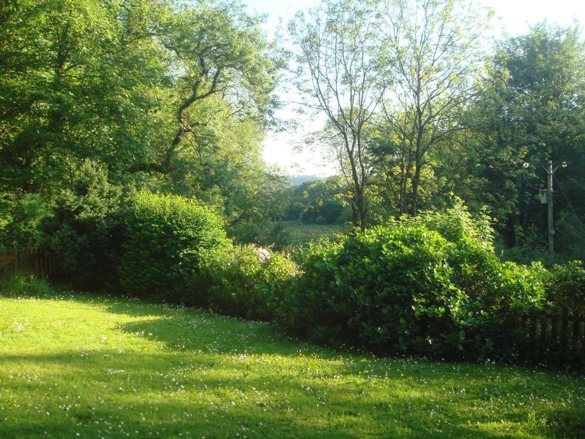 'Morris' The Shepherd'S Hut With Woodland Hot Tub Carmarthen Zewnętrze zdjęcie