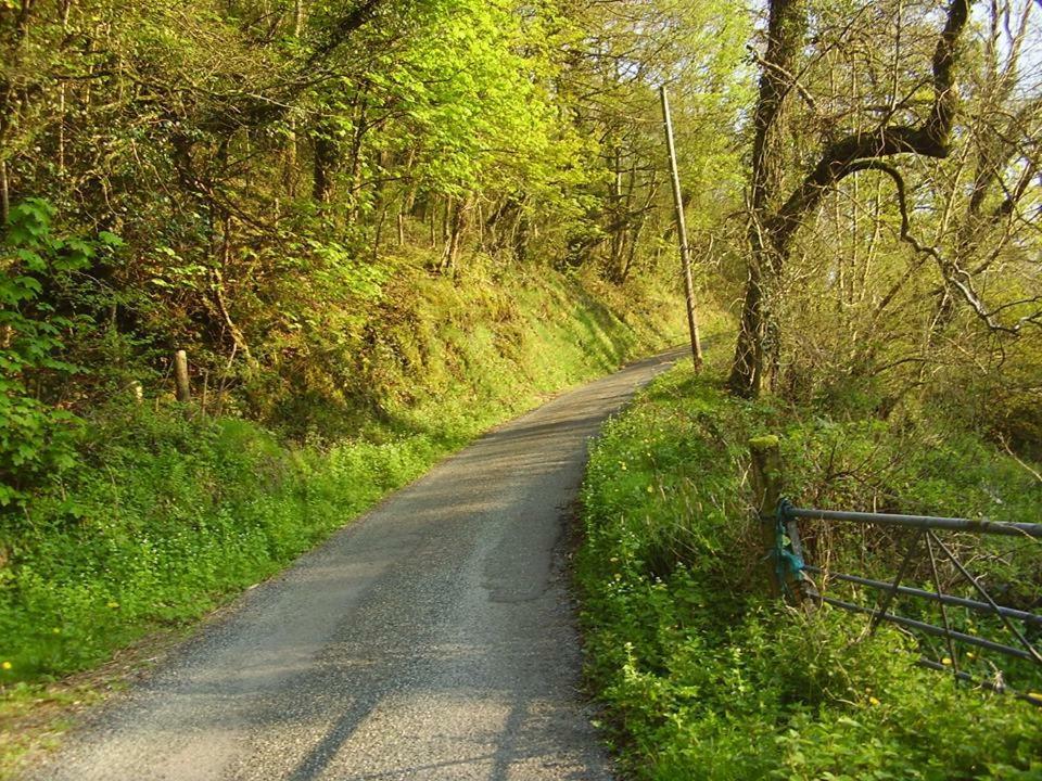 'Morris' The Shepherd'S Hut And Woodland Hot Tub Experience Carmarthen Zewnętrze zdjęcie