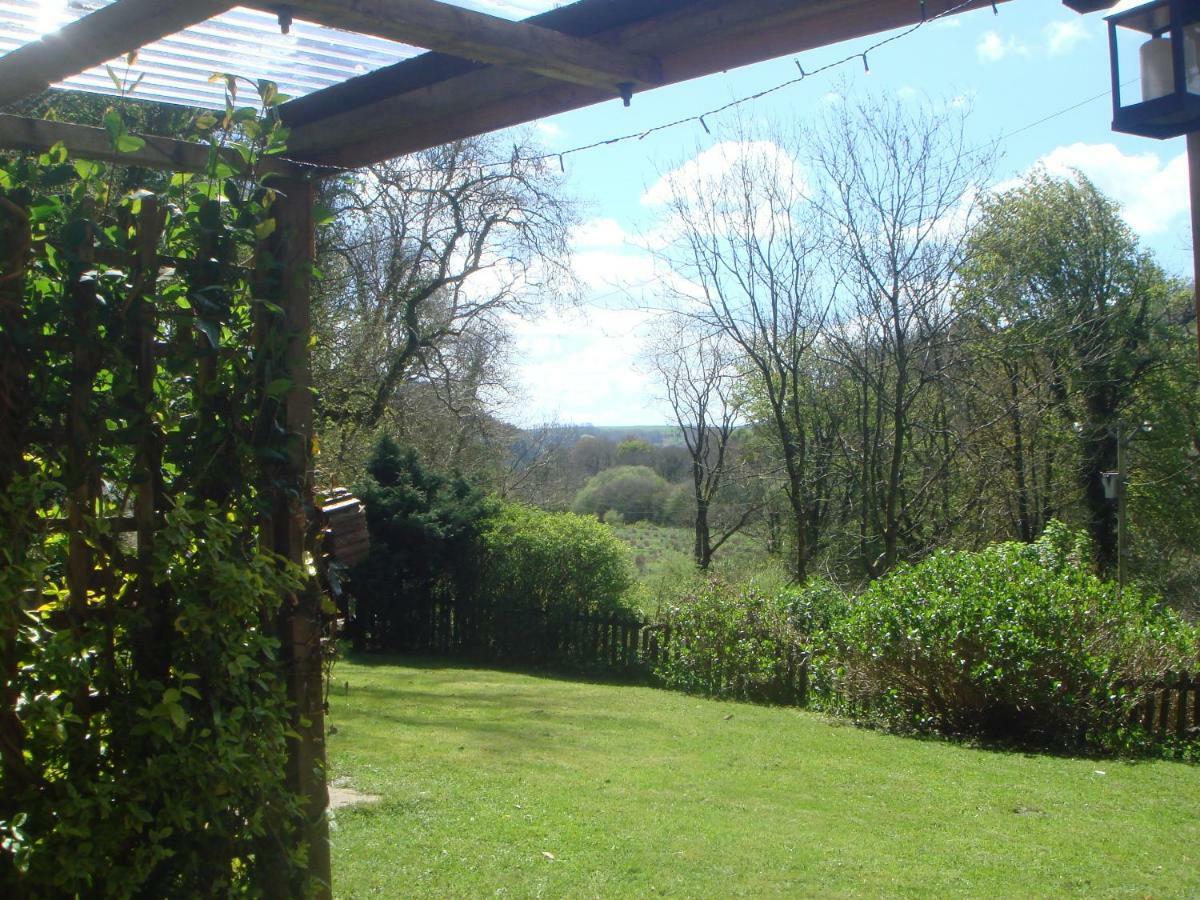 'Morris' The Shepherd'S Hut And Woodland Hot Tub Experience Carmarthen Zewnętrze zdjęcie