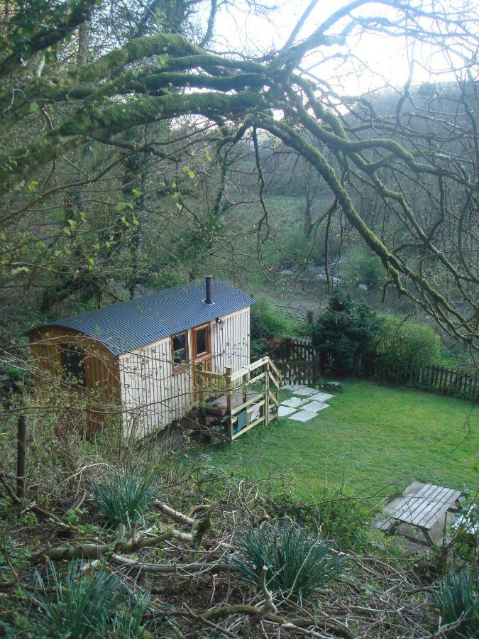 'Morris' The Shepherd'S Hut With Woodland Hot Tub Carmarthen Zewnętrze zdjęcie