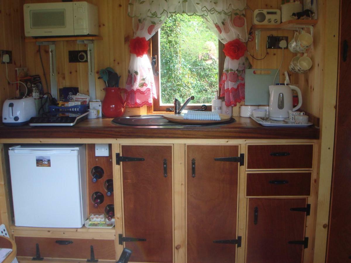 'Morris' The Shepherd'S Hut And Woodland Hot Tub Experience Carmarthen Zewnętrze zdjęcie