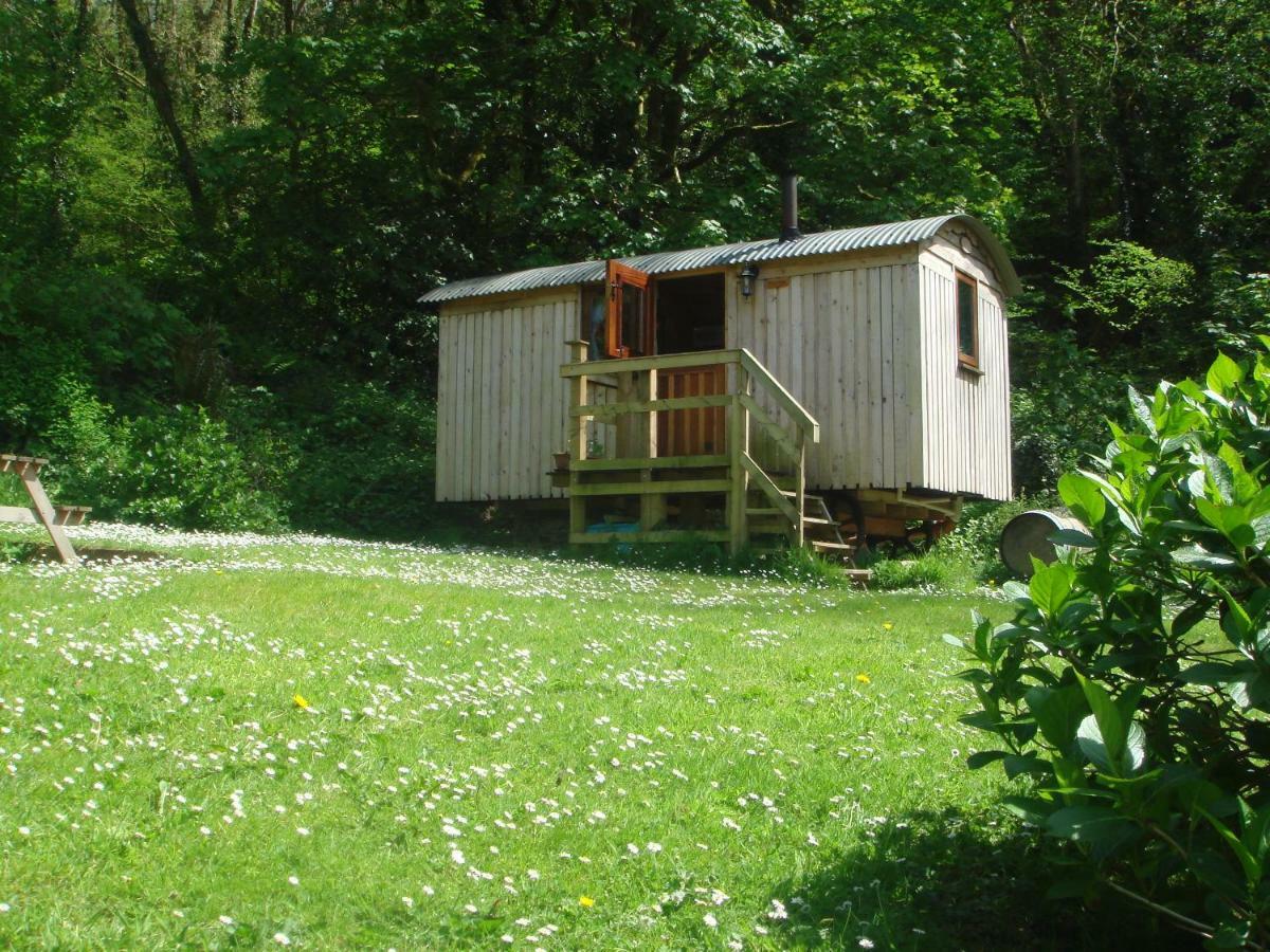 'Morris' The Shepherd'S Hut With Woodland Hot Tub Carmarthen Zewnętrze zdjęcie