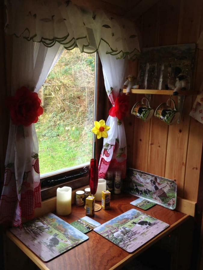 'Morris' The Shepherd'S Hut With Woodland Hot Tub Carmarthen Zewnętrze zdjęcie