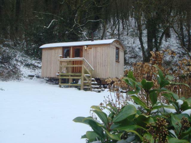 'Morris' The Shepherd'S Hut With Woodland Hot Tub Carmarthen Zewnętrze zdjęcie