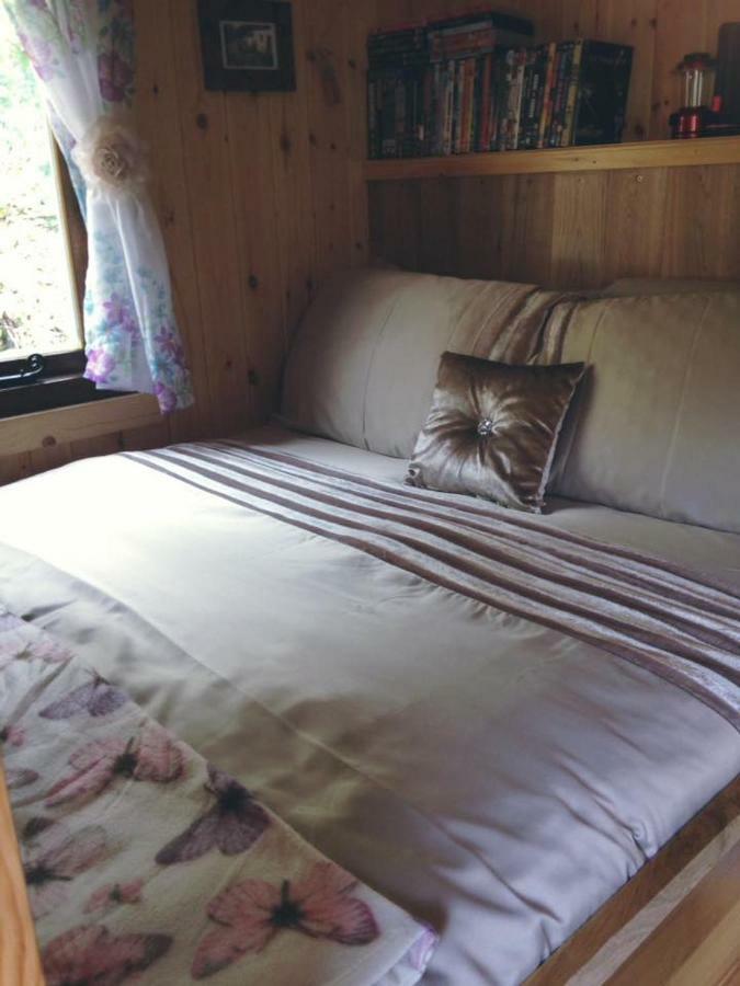 'Morris' The Shepherd'S Hut With Woodland Hot Tub Carmarthen Zewnętrze zdjęcie