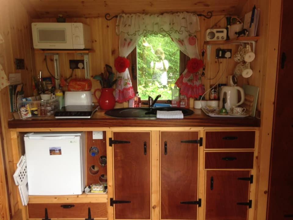 'Morris' The Shepherd'S Hut With Woodland Hot Tub Carmarthen Zewnętrze zdjęcie