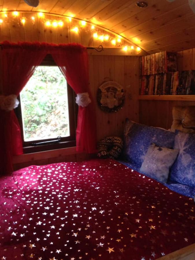 'Morris' The Shepherd'S Hut With Woodland Hot Tub Carmarthen Zewnętrze zdjęcie