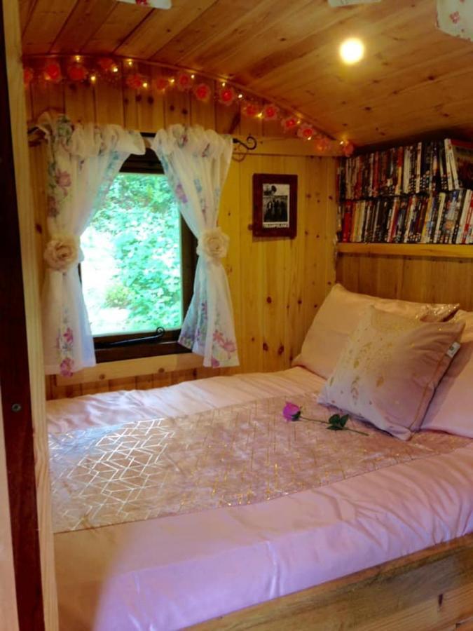 'Morris' The Shepherd'S Hut With Woodland Hot Tub Carmarthen Zewnętrze zdjęcie