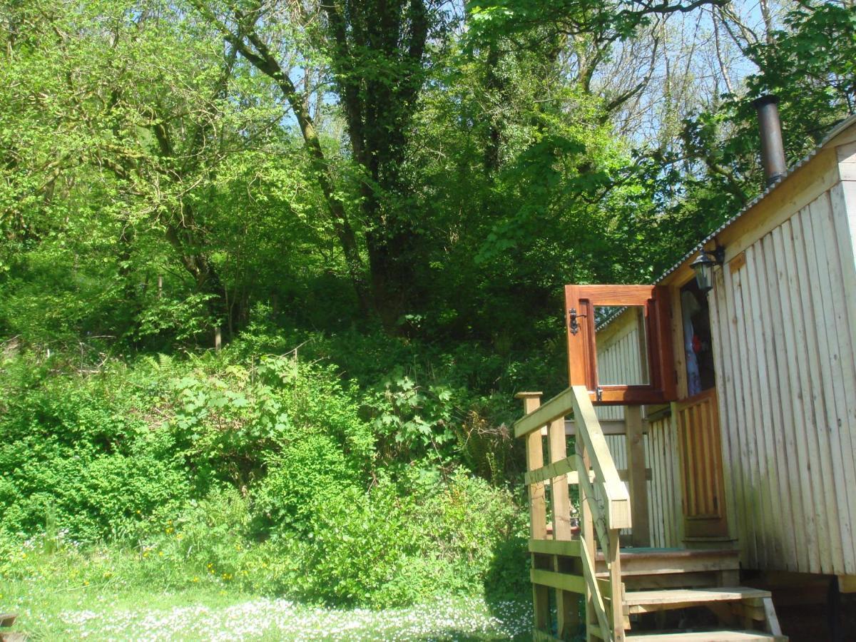 'Morris' The Shepherd'S Hut With Woodland Hot Tub Carmarthen Zewnętrze zdjęcie